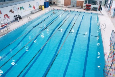An overhead picture of four people lane swimming